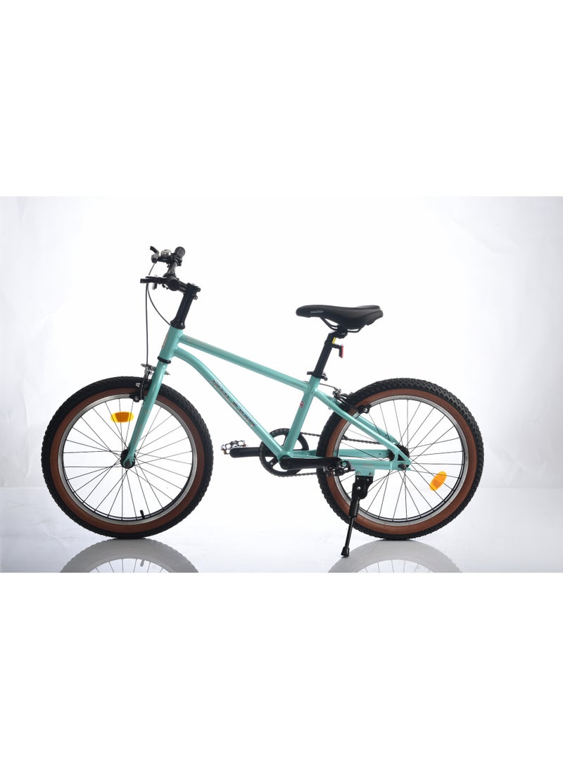 Raleigh POP 20 Inch alloy frame single speed - Image 1